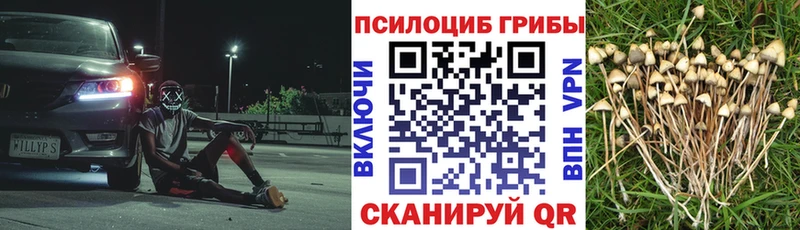 что такое наркотик Дзержинск Галлюциногенные грибы Cubensis